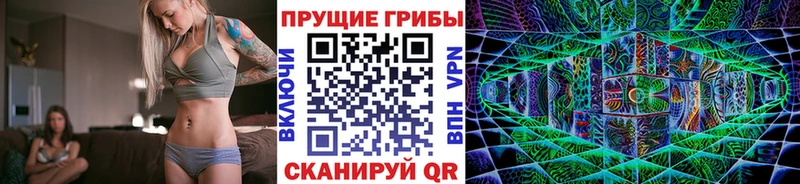 mega сайт  что такое   дарк нет как зайти  Галлюциногенные грибы мицелий  Мглин 